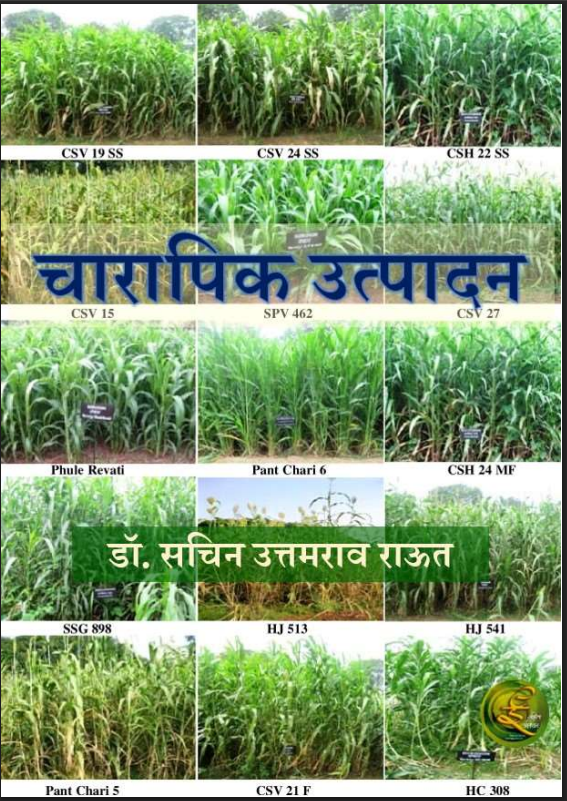 चारा पीक उत्पादन