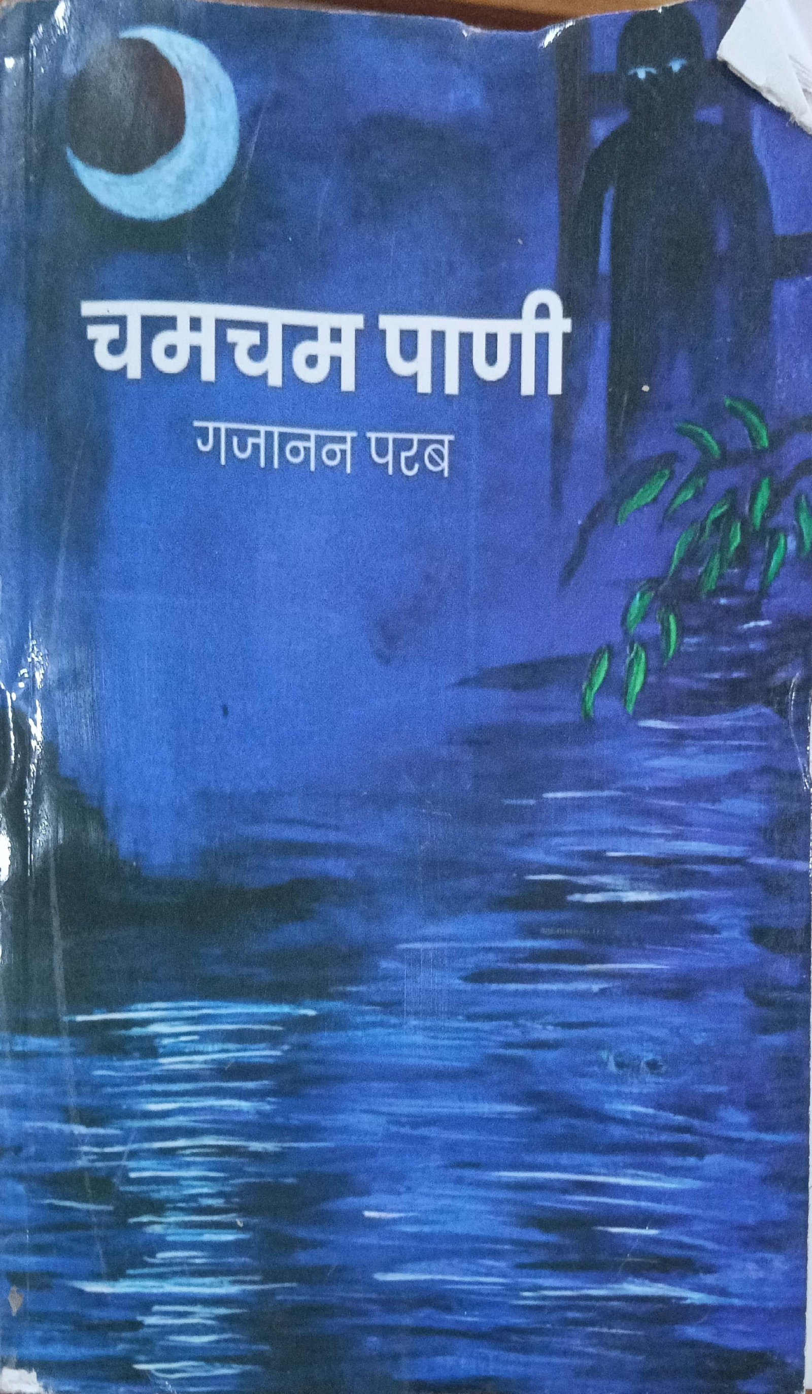 चमचम पाणी